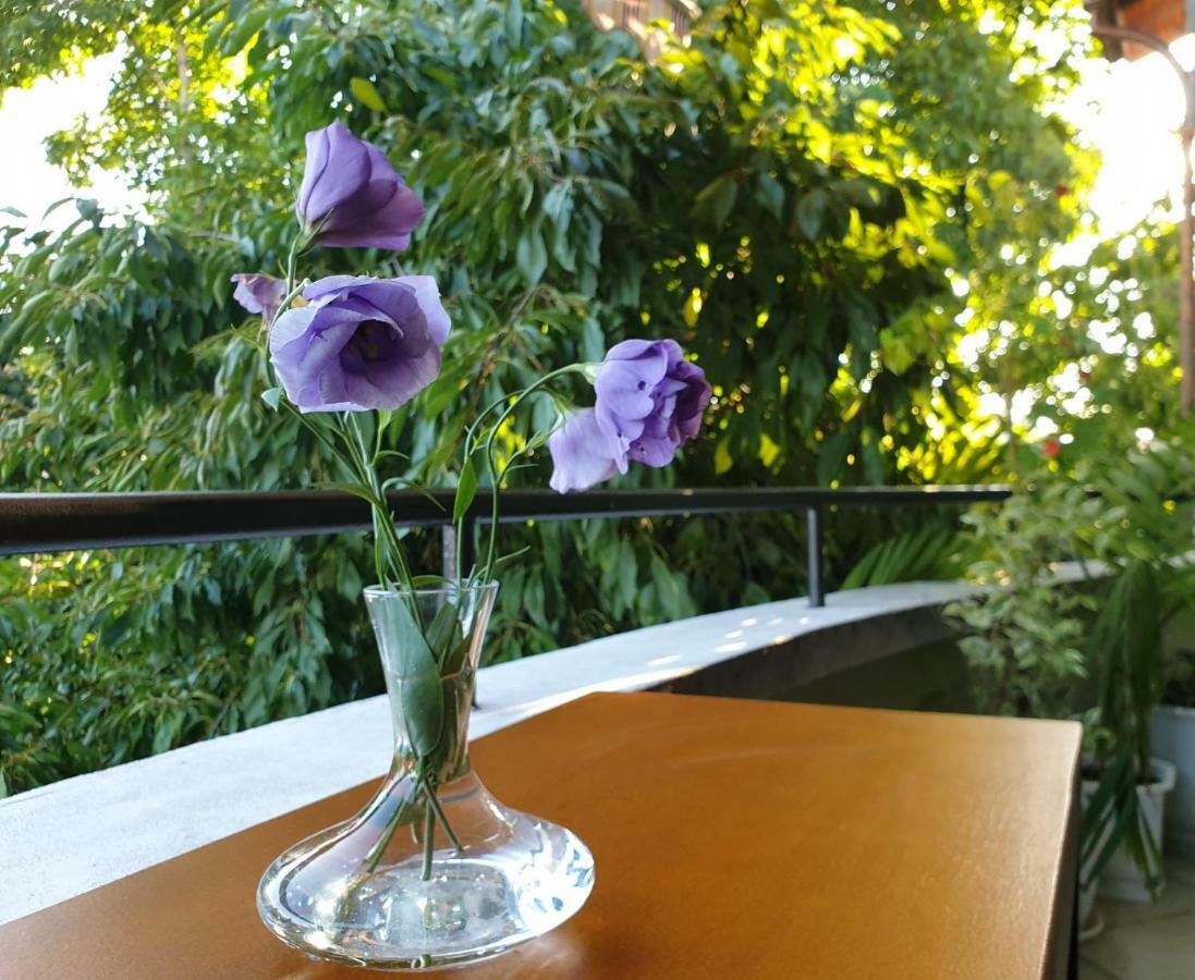 Family Hotel Sonata Samokov Exterior foto